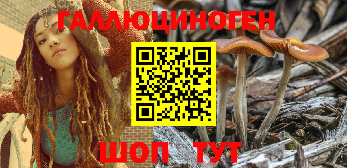 Галлюциногенные грибы MAGIC MUSHROOMS  Вход с VPN  Электросталь 